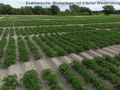 Exaktversuche: Blockanlagen mit 4-facher Wiederholung - © Jürgen Pickny Exaktversuche: Blockanlagen mit 4-facher Wiederholung