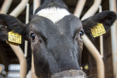 Dreharbeiten LBZ Echem 10.05.2017