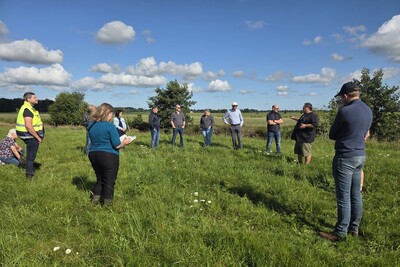 Lenkungskreistreffen im Grünland