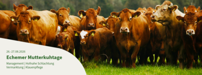- © Iris Ramm Mutterkuhtage Echem