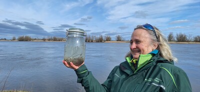 Aalbesatzaktion 2026