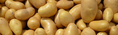 So schön können niedersächsische Kartoffeln sein