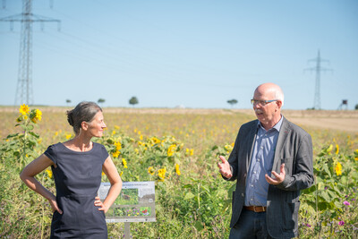 Agrarministerin Miriam Staudte (l.) und Kammerpräsident Gerhard Schwetje auf einer Fläche speziell für den Rebhuhnschutz nahe des Wolfenbütteler Ortsteils Leinde. - © Wolfgang Ehrecke Agrarministerin Miriam Staudte (l.) und Kammerpräsident Gerhard Schwetje auf einer Fläche speziell für den Rebhuhnschutz nahe des Wolfenbütteler Ortsteils Leinde.