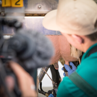 Was kann die verlängerte Zwischenkalbzeit für Vor- oder Nachteile in Bezug auf die Milchmenge, und andere ökonomische Faktoren, wie die Zahl der Kälber pro Kuh haben? - © Wolfgang Ehrecke DLG-Bundeswettbewerb Melken