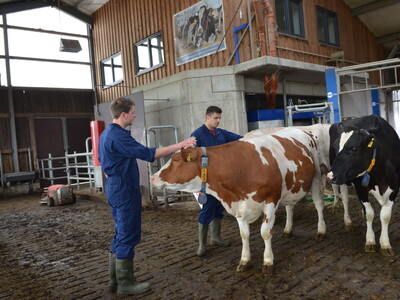 Platz 3 in der Kategorie Landwirtschaft II: Joss Legtenborg (r.) und Jannik Richter während des Finales des Berufswettbewerbs der deutschen Landjugend am 21.06.2023 nahe des Landwirtschaftlichen Bildungszentrums in Echem.