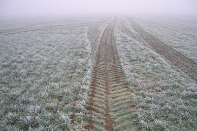 Frost: Der Boden muss am Tag des Aufbringens v&ouml;llig frostfrei sein. Wenn der Boden in beliebiger Tiefe Frost aufweist ist einen D&uuml;ngung nicht erlaubt!