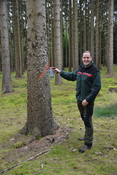 Das Auszeichnen von Waldbest&auml;nden f&uuml;r die Durchforstung ist eine der regelm&auml;&szlig;igen Aufgaben von Niels Sievers.