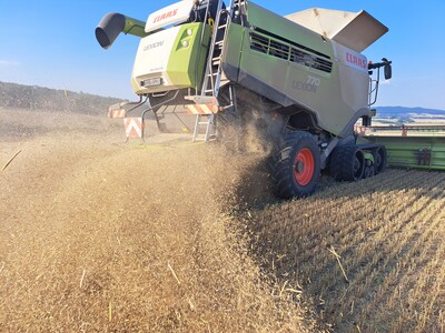 Gute H&auml;ckselqualit&auml;t ist Grundvoraussetzung f&uuml;r ein gleichm&auml;&szlig;iges Einarbeiten des Strohs