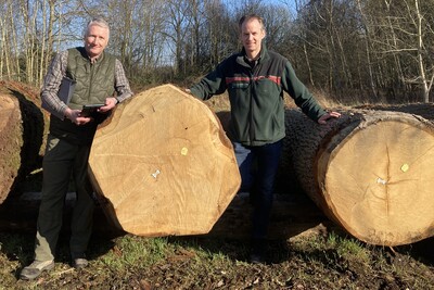 J&ouml;rg G&ouml;rlich, Gesch&auml;ftsf&uuml;hrer der Nord-West-Holz eG (links), und Andreas Wiemer, Holzkoordinator im Forstamt Weser-Ems, vor der 'Braut' der Submission: Die Die Eiche mit stolzen 5,05 Festmeter erzielte einen Preis von 1.470,00 Euro pro Festmester und stam