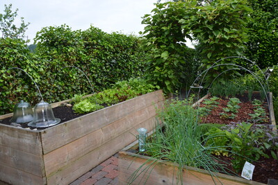 Hochbeet - © Christiane Rehkamp Hochbeet