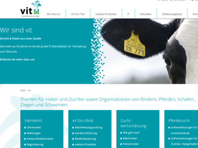 Screenshot Homepage VIT - © Andrea Meyer Screenshot Homepage VIT