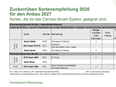Zuckerrüben-Sortenempfehlung 2027, Sorten für das Conviso-Smart-System - © Annette Hoffmann Zuckerrüben-Sortenempfehlung 2027, Sorten für das Conviso-Smart-System