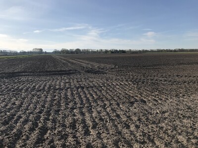 Landwirtschaftliche Nutzfl&auml;che