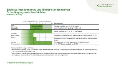 Späteste Aussaattermine und Mindeststandzeiten von Gründüngungszwischenfrüchten 2026 - © Annette Hoffmann Späteste Aussaattermine und Mindeststandzeiten von Gründüngungszwischenfrüchten 2026