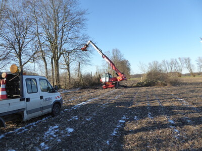 Maschineneinsatz Heckenpflege - © Bernd Eilers Maschineneinsatz Heckenpflege