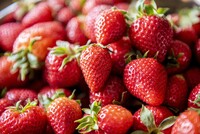 Frische, rote Erdbeeren mit grünen Blättern liegen dicht beieinander.