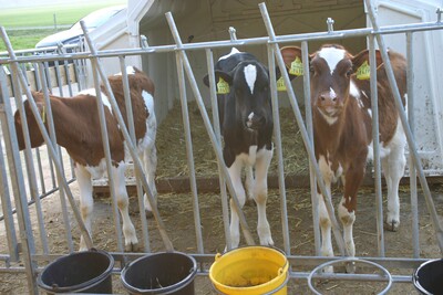 Einblicke im Rahmen des Betriebsrundganges