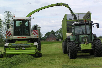 Siliermittel Gras