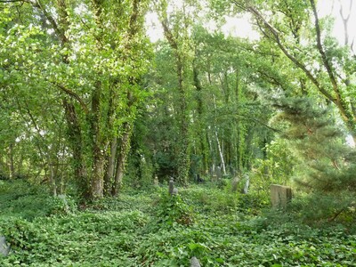Der alte Friedhof in Thomasburg - © Sabine Dralle Der alte Friedhof in Thomasburg