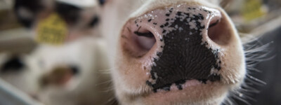 Dreharbeiten LBZ Echem 10.05.2017