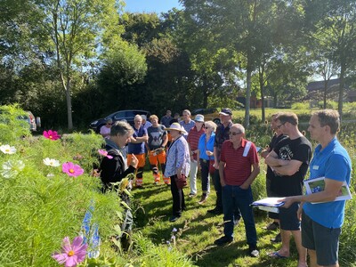 Feldbegehung auf der Blühstreifen-Demonstrationsfläche Loga