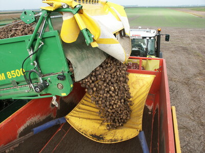 Kartoffelbeschädigungen vermeiden