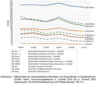 Kälbererlöse für unterschiedliche Genetiken und Geschlechter in Niedersachsen - © Henrike Jansen Kälbererlöse für unterschiedliche Genetiken und Geschlechter in Niedersachsen
