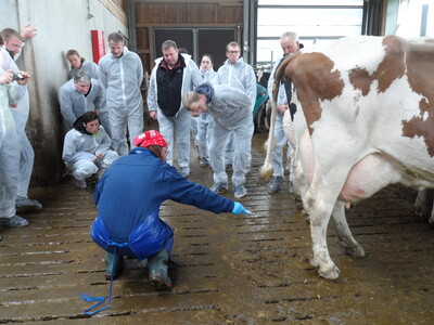 Mortellaro-Seminar Mai 2017 - © Franziska Paul Mortellaro-Seminar Mai 2017