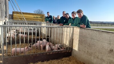 Teilnehmer des Meistermoduls Vertiefung Schwein während des Praxisteils - © Gerd Hermeling Teilnehmer des Meistermoduls Vertiefung Schwein während des Praxisteils