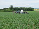 Feldtag im Juni 2023 bei Böbber - © Annette Hoffmann Feldtag im Juni 2023 bei Böbber