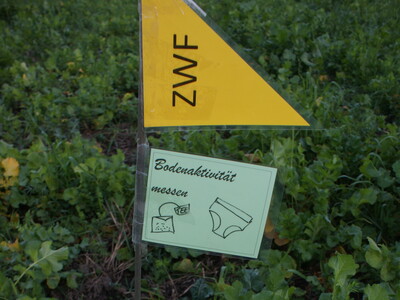 Ausschilderung - © LWK Niedersachsen Ausschilderung