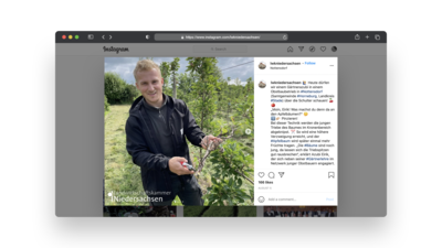 Nachwuchswerbung auf Instagram