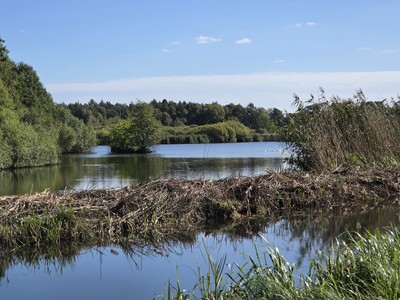 Aschauteiche - © Dr. Jürgen Grocholl Aschauteiche