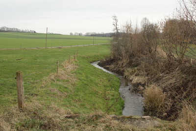 Wasserrückhalt in der Landschaft