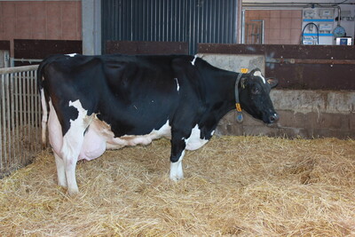 Staatsehrenpreis Hanne-Sustrath GbR 2018 - © LWK Niedersachsen Staatsehrenpreis Hanne-Sustrath GbR 2018