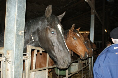 Verleihung des Staatsehrenpreises an Johann Gerdes, Bargstedt