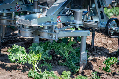 Vorstellung des autonomen Hackroboters Farming GT in einem Gr&uuml;nkohl-Bestand beim 5. Feldtag Gem&uuml;sebau am 13.08.2026 auf den Fl&auml;chen von Hof Krull in Burgdorf/Otze.