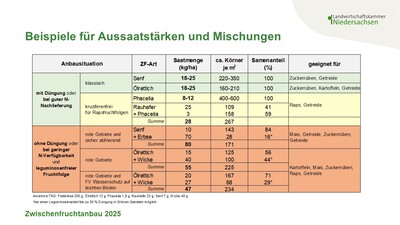 Aussaat- und Mischungsbeispiele 2025