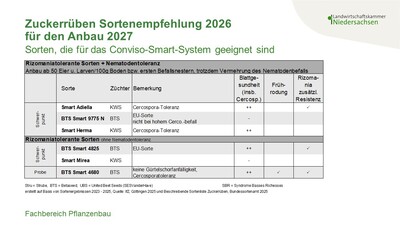 Zuckerrüben-Sortenempfehlung 2027, Sorten für das Conviso-Smart-System - © Annette Hoffmann Zuckerrüben-Sortenempfehlung 2027, Sorten für das Conviso-Smart-System