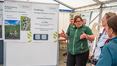LWK-Herdenschutzkoordinatorin Elke Steinbach erl&auml;utert beim 2. Echemer Zauntag Projekte f&uuml;r eine Verbesserung des Herdenschutzes am Deich.