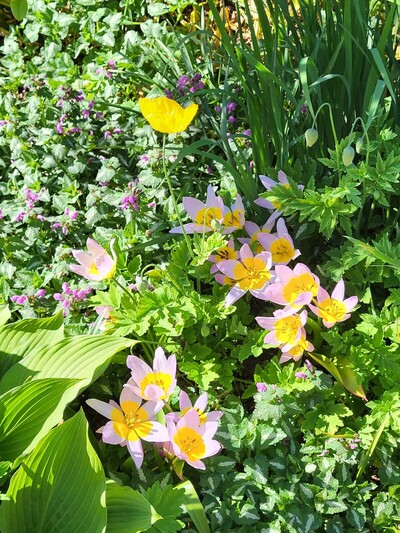 - © Almut Eilers Gartenmomente