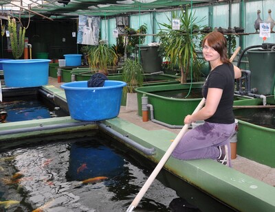 Fischwirt - © Padeken - © Ellen Padeken Fischwirt