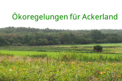 Ökoregelung für Ackerland - © Hauke Ahnemann Grüne Wiesen mit Wildblumen im Vordergrund, Wald im Hintergrund. Text: Ökoregelungen für Ackerland.