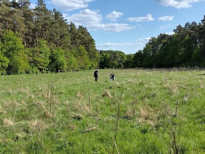 Kennartenseminar Kennartensuche - © Janosch Hans Kennartenseminar Kennartensuche