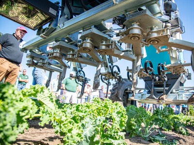 Vorstellung des autonomen Hackroboters Farming GT in einem Gr&uuml;nkohl-Bestand beim 5. Feldtag Gem&uuml;sebau am 13.08.2026 auf den Fl&auml;chen von Hof Krull in Burgdorf/Otze.