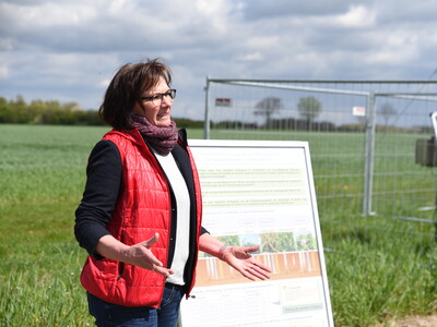 Dr. Dagmar Matuschek, bei der Landwirtschaftskammer Niedersachsen stellvertretende Leiterin des Fachbereichs Versuchswesen Pflanze, erläuterte den Anwesenden Aufbau und Umsetzung des Feldversuchs.