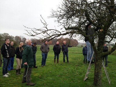 Obstbaumschnitt - © Christine Strodthoff-Schneider /media/media/0A42514D-E937-58FE-4B88AA05E2CA1248.JPG