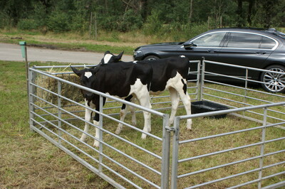 Verleihung des Staatsehrenpreises an den Betrieb Hintze, Dünsche - © LWK Niedersachsen Verleihung des Staatsehrenpreises an den Betrieb Hintze, Dünsche