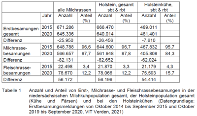 Anzahl und Anteil von Erst-, Milchrasse- und Fleischrassebesamungen - © Henrike Jansen Anzahl und Anteil von Erst-, Milchrasse- und Fleischrassebesamungen