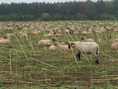Biodiversit&auml;tsberatung